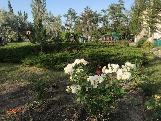 База Отдыха Наука Коблево Koblevo Exterior photo